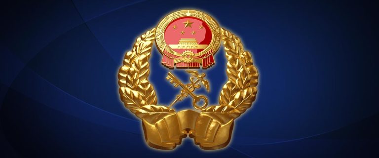 辉煌税月 · Glorious Years of Customs Administration (2012)