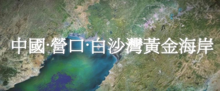 辽宁营口招商宣传片 · Film for Investment Attraction (2008)