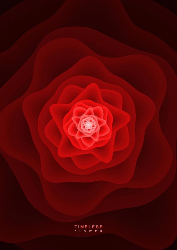 Timeless_Flower_1