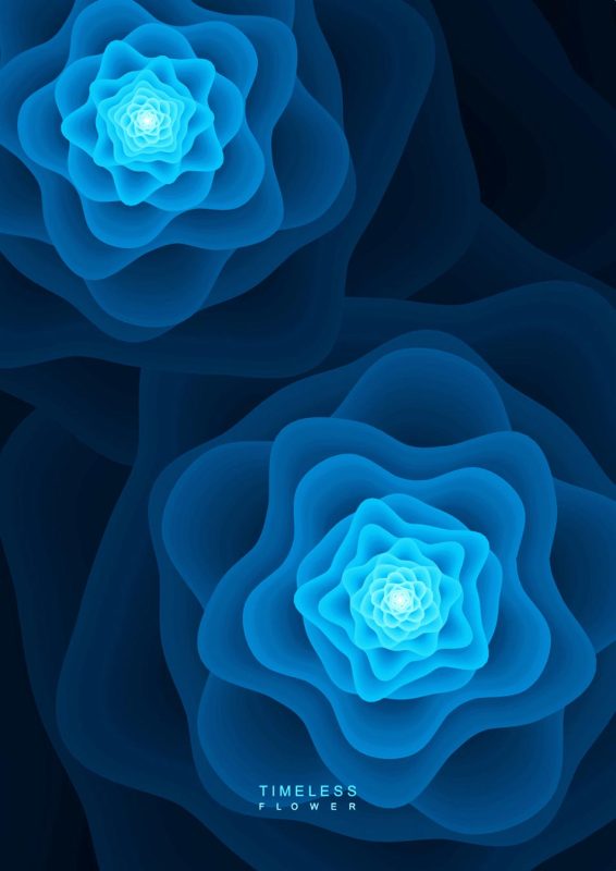 Timeless_Flower_2
