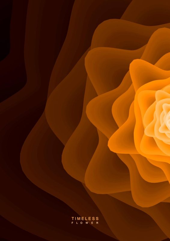 Timeless_Flower_3